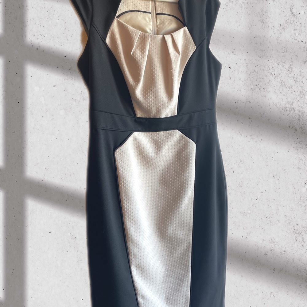 Dorothy Perkins Dress size 10 US